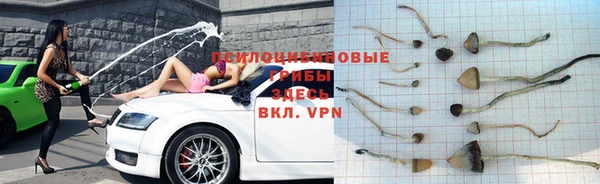 apvp Абинск